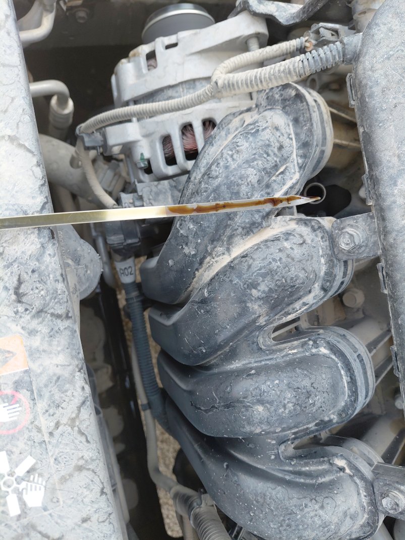 KIA Pegas  2022 image