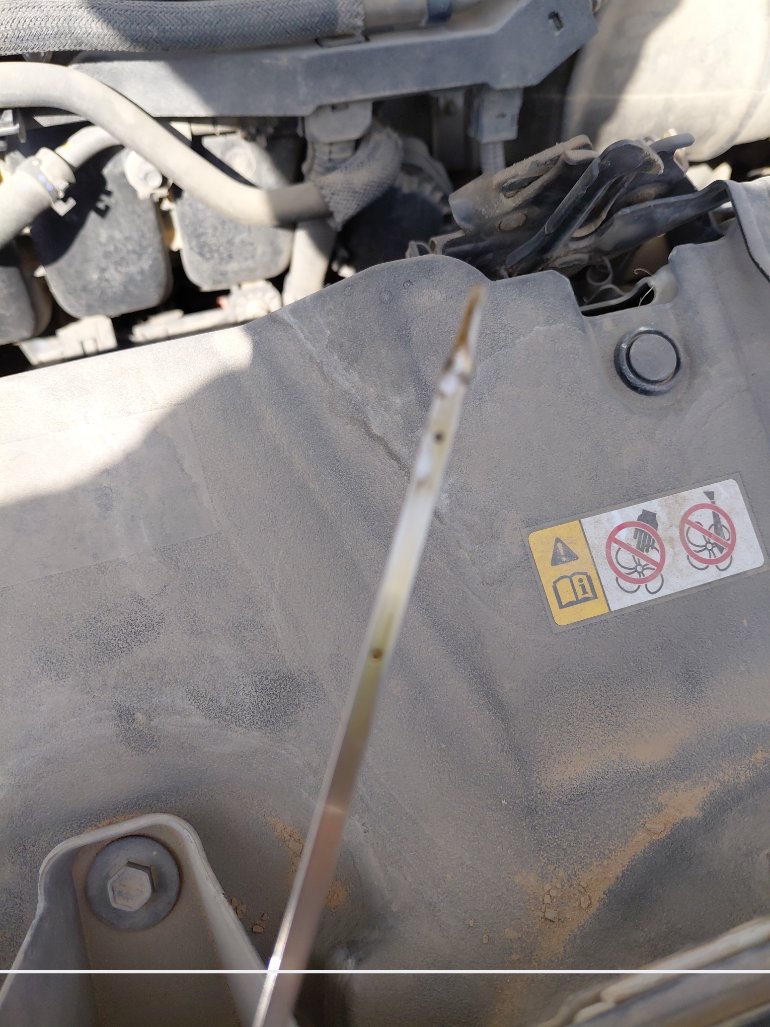 تويوتا راف فور  2022 image