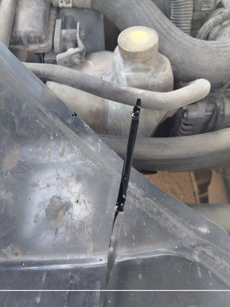 Nissan Urvan  2020 image