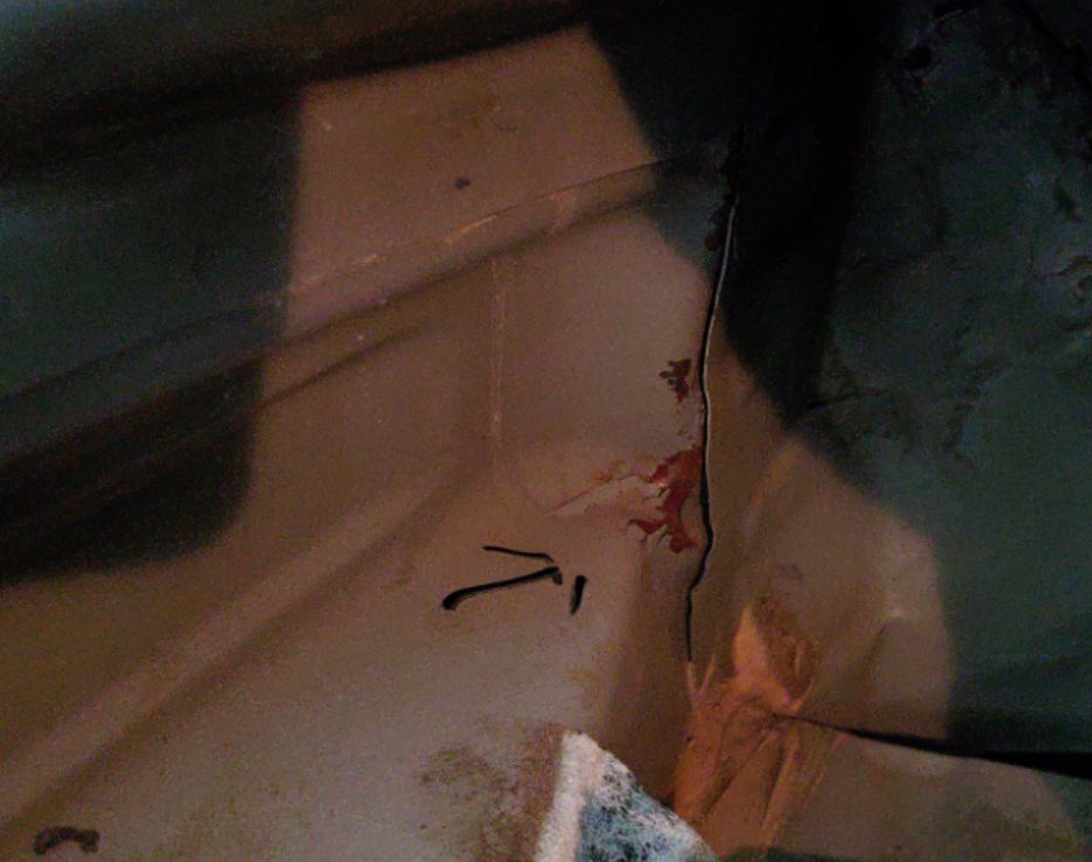 Nissan Sunny  2020 image