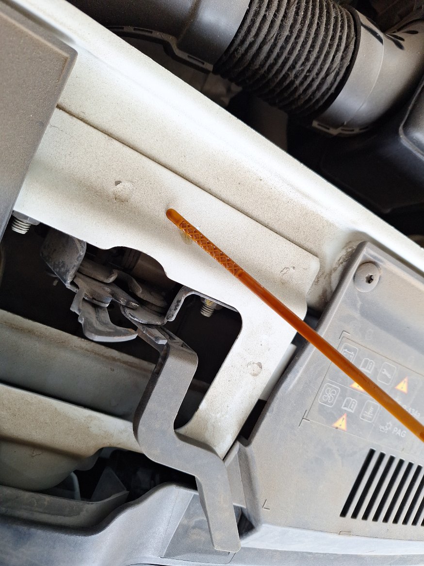 Renault Symbol  2019 image