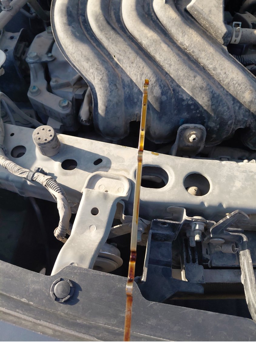 Nissan Sunny  2022 image