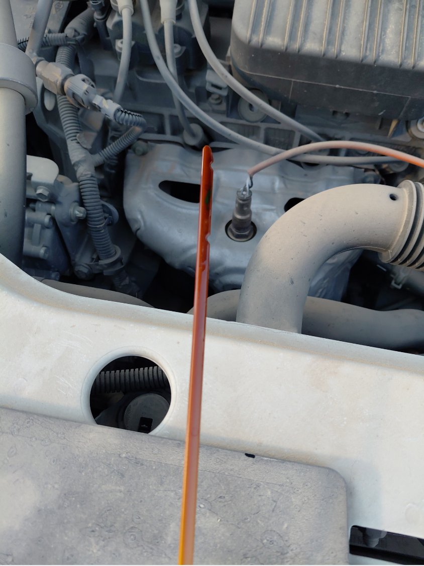 رينو دوكر  2021 image