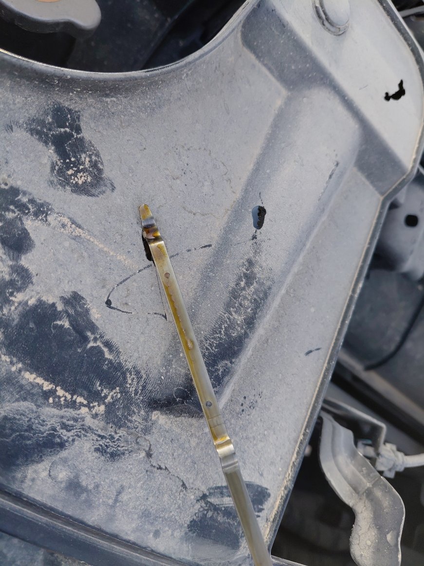 Nissan X-Trail  2021 image