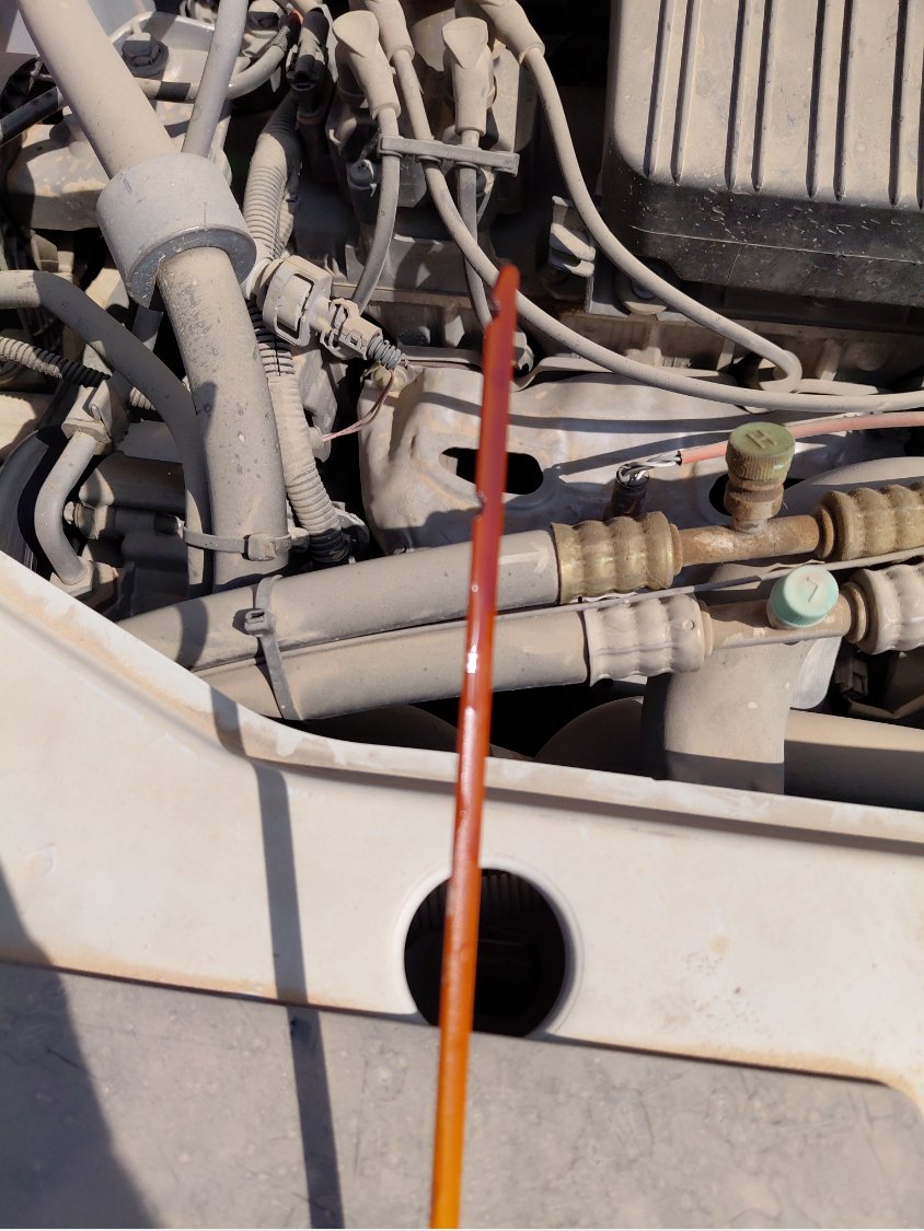 Renault Dokker  2021 image