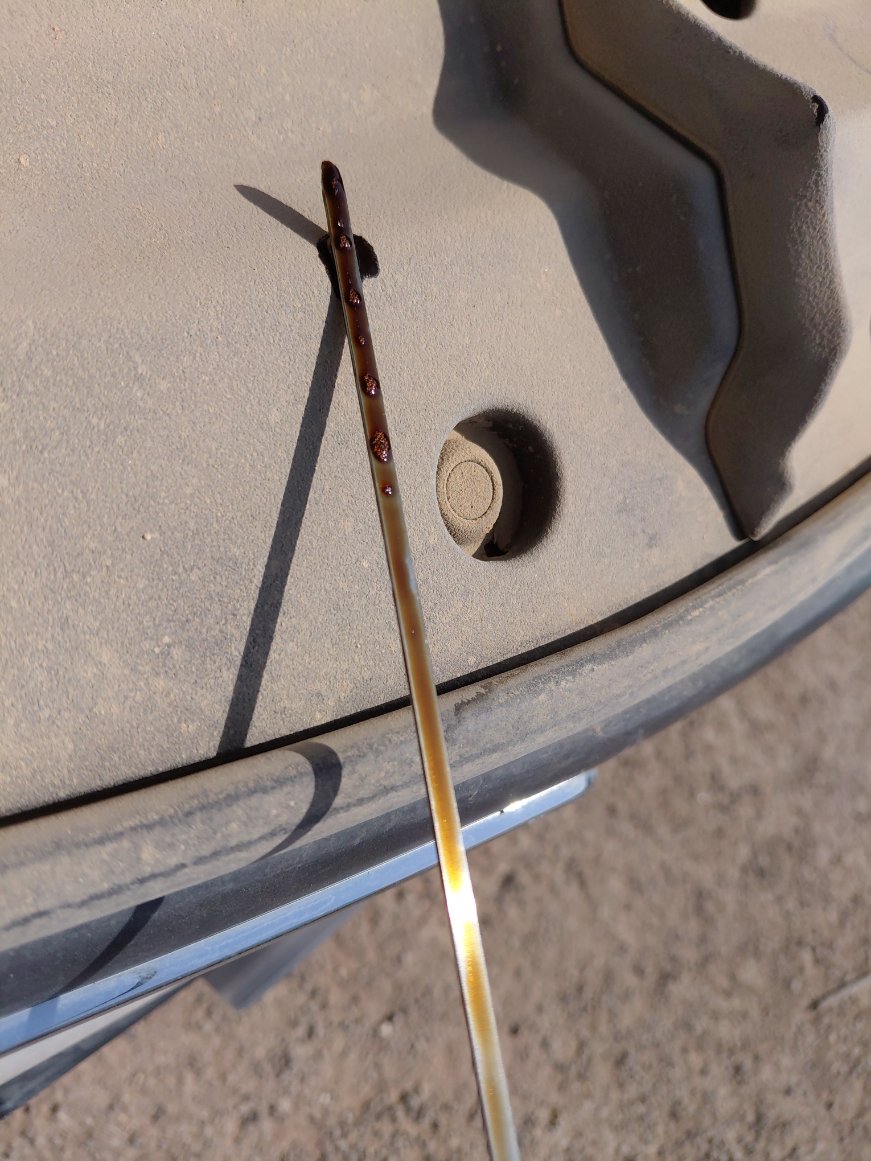 Toyota Corolla  2024 image