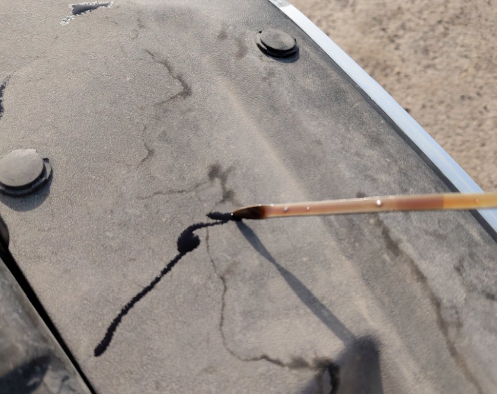 كيا بيجاس LX 2022 image