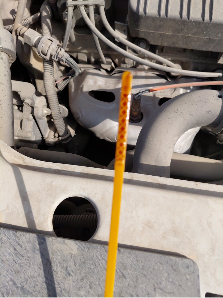 Renault Dokker  2021 image