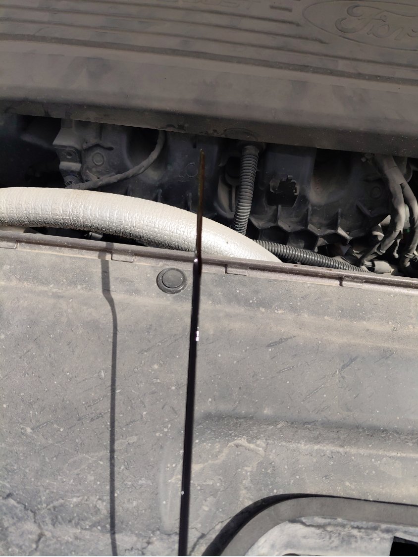 Ford Taurus  2022 image