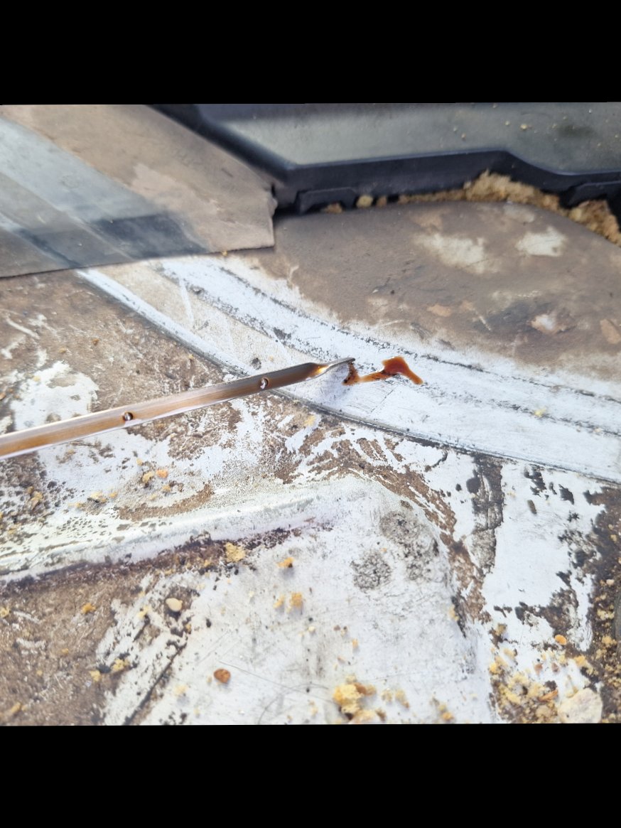 تويوتا هايس باص  2017 image