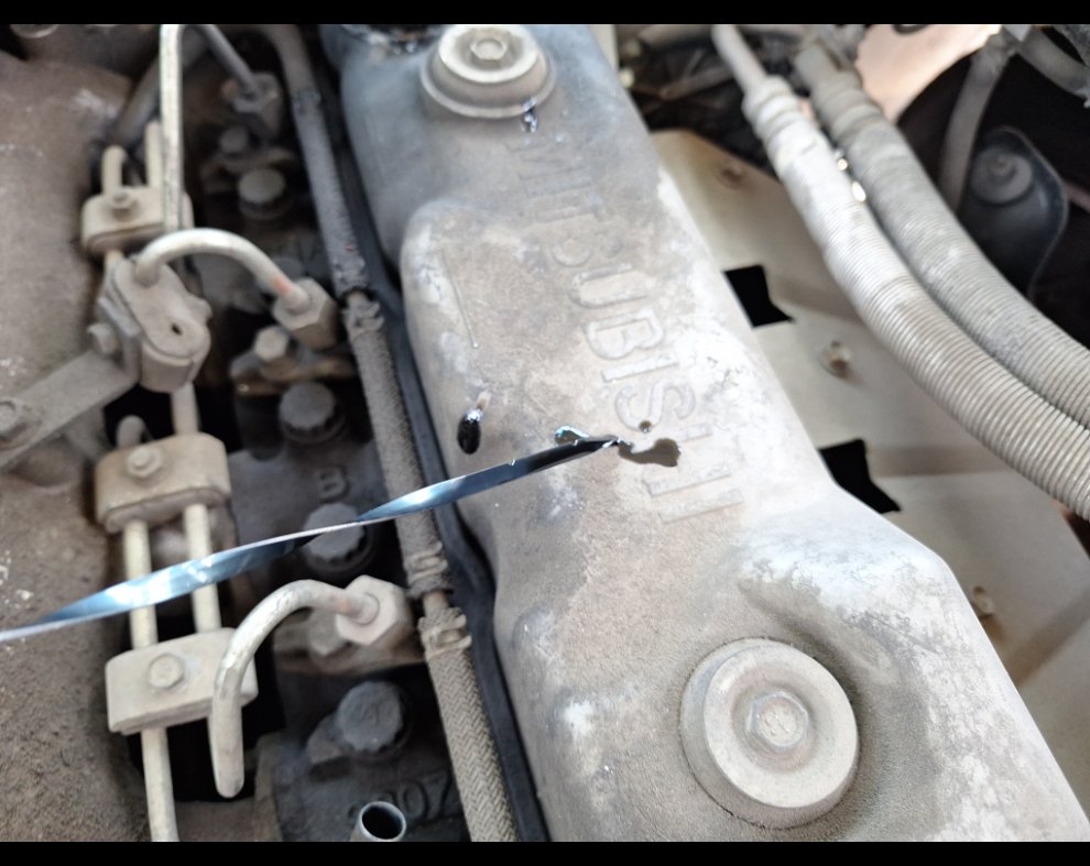 ميتسوبيشي روزا  2020 image