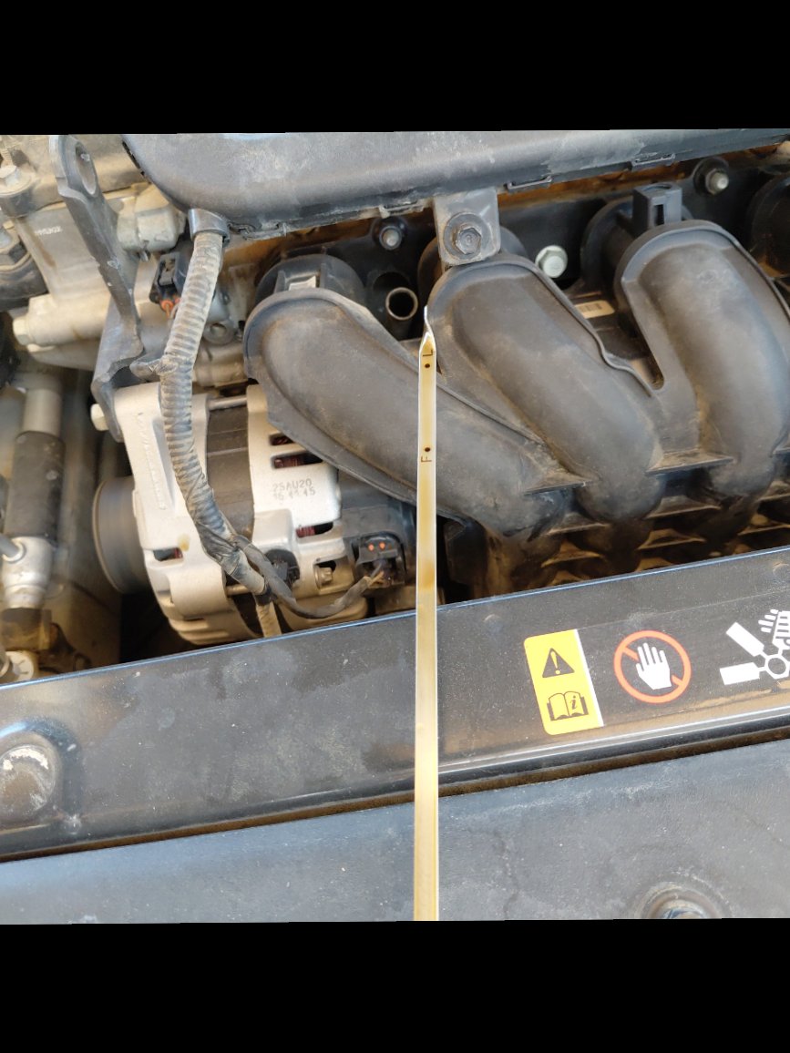 هيونداي أكسنت  2021 image