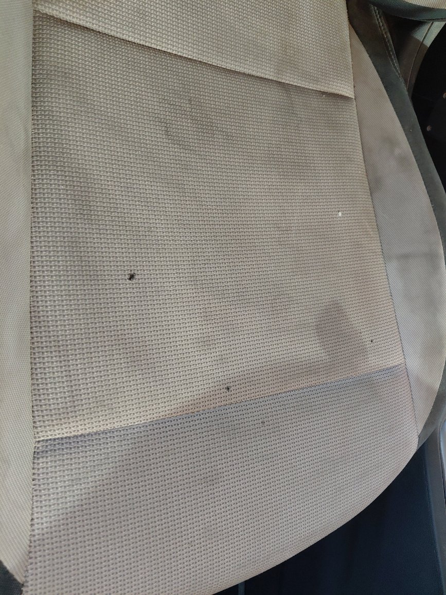 هيونداي أكسنت  2021 image