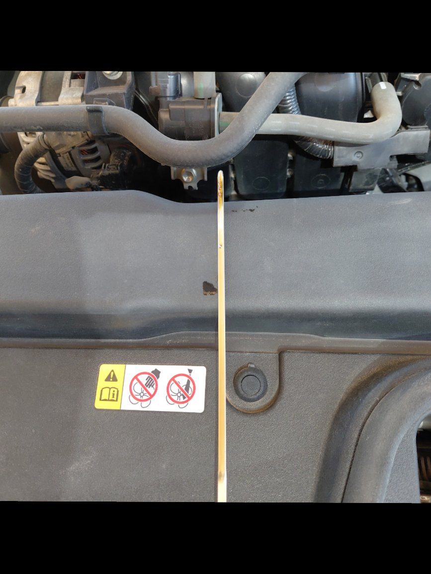 تويوتا كورولا  2021 image