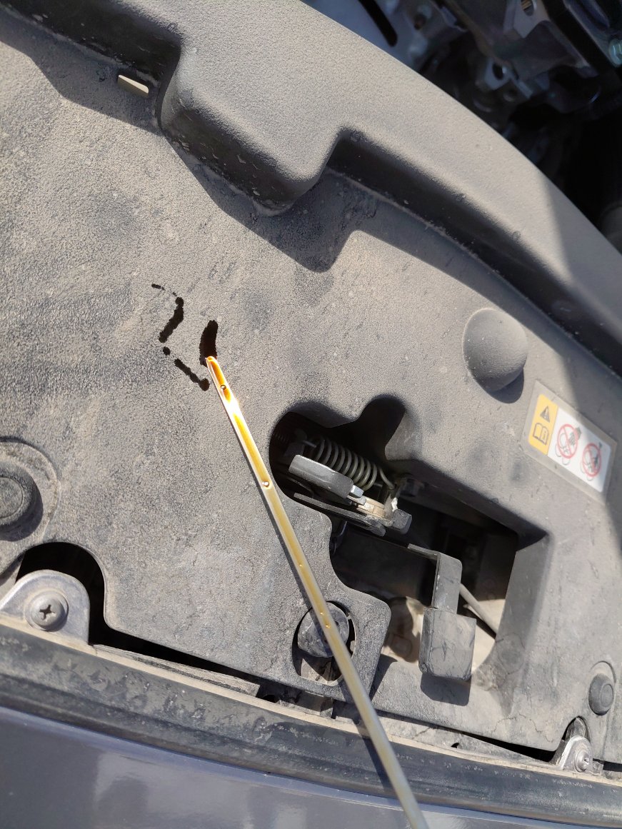 Toyota Yaris  2023 image