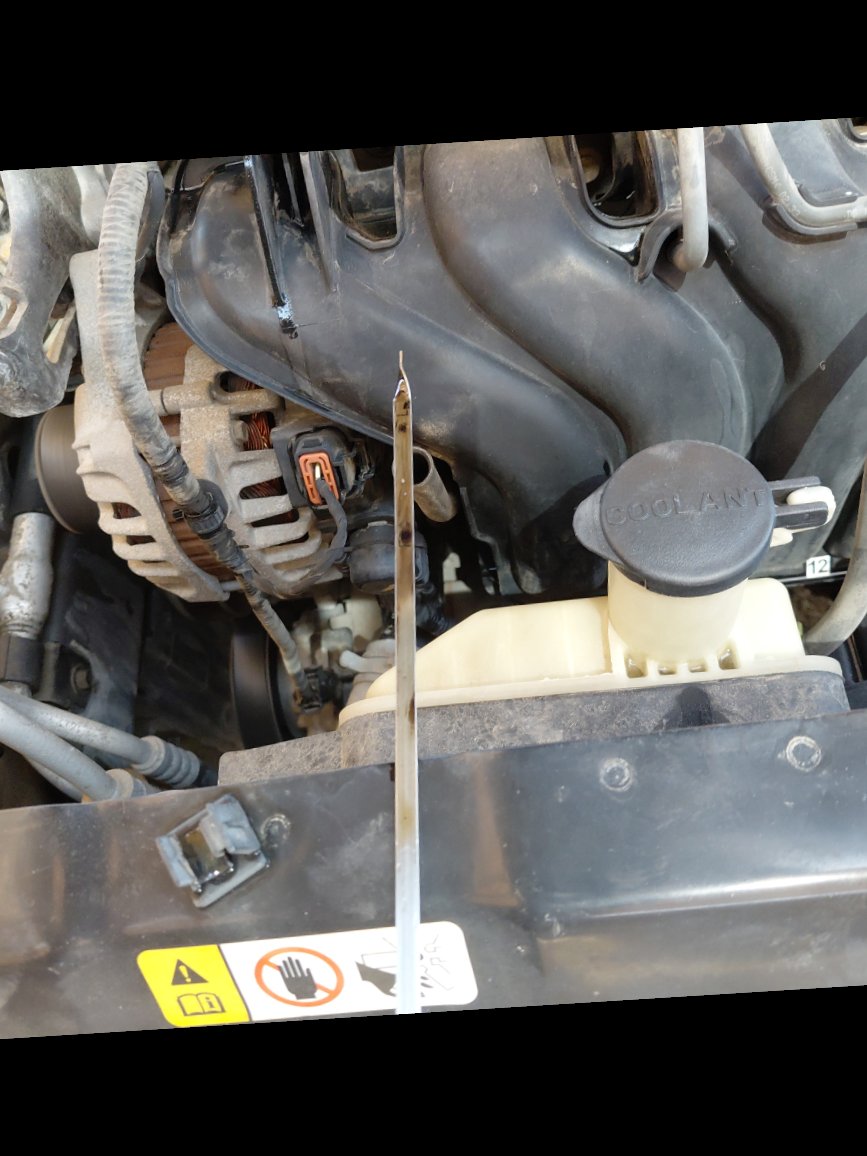 Hyundai Elantra  2016 image