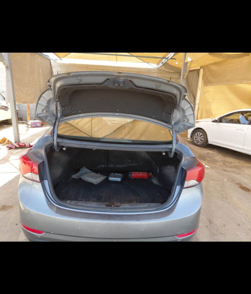 Hyundai Elantra  2016 image