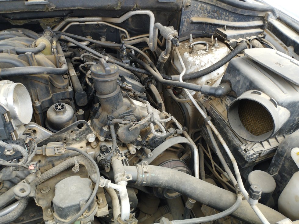 دودج دورانجو  2021 image