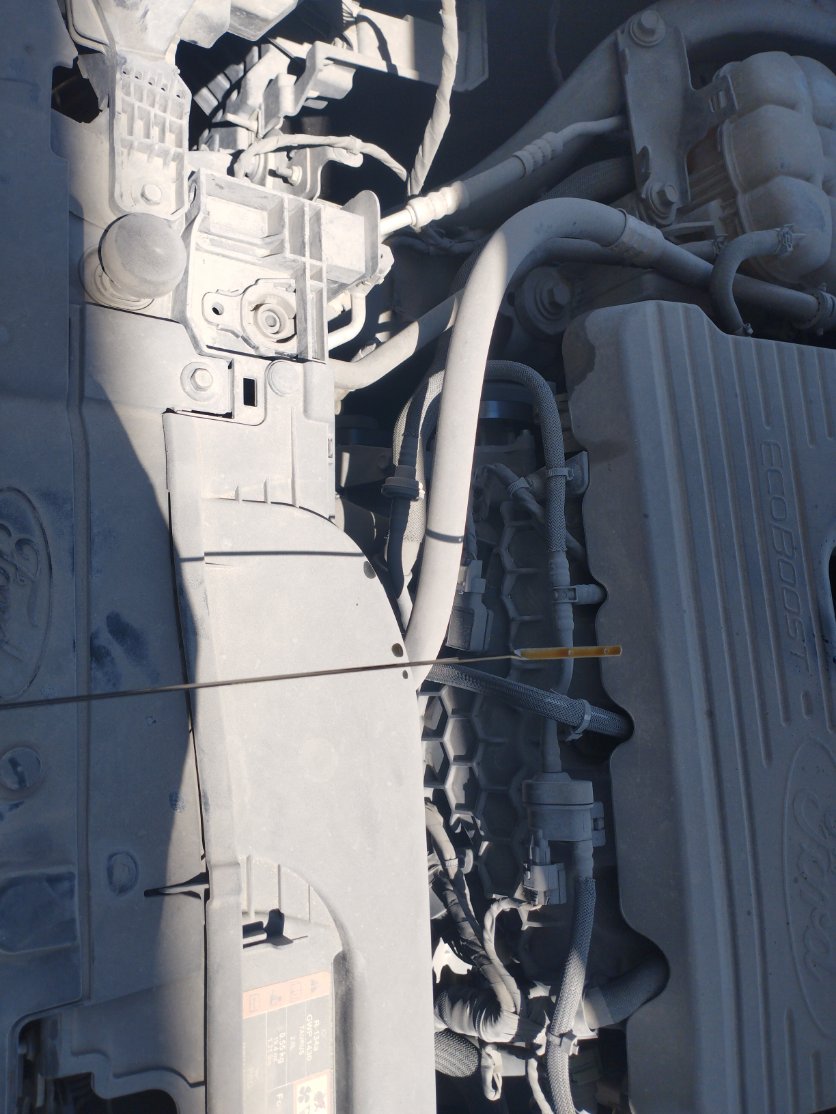 Ford Taurus  2023 image