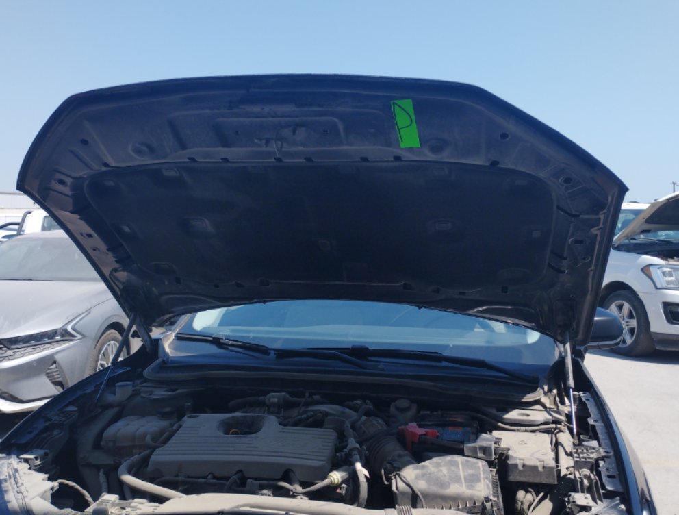 Ford Taurus  2023 image