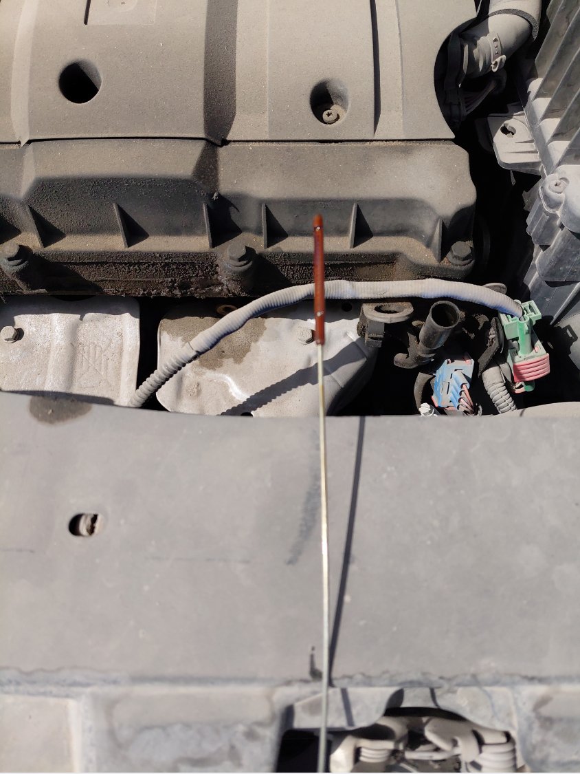 Peugeot  301  2020 image