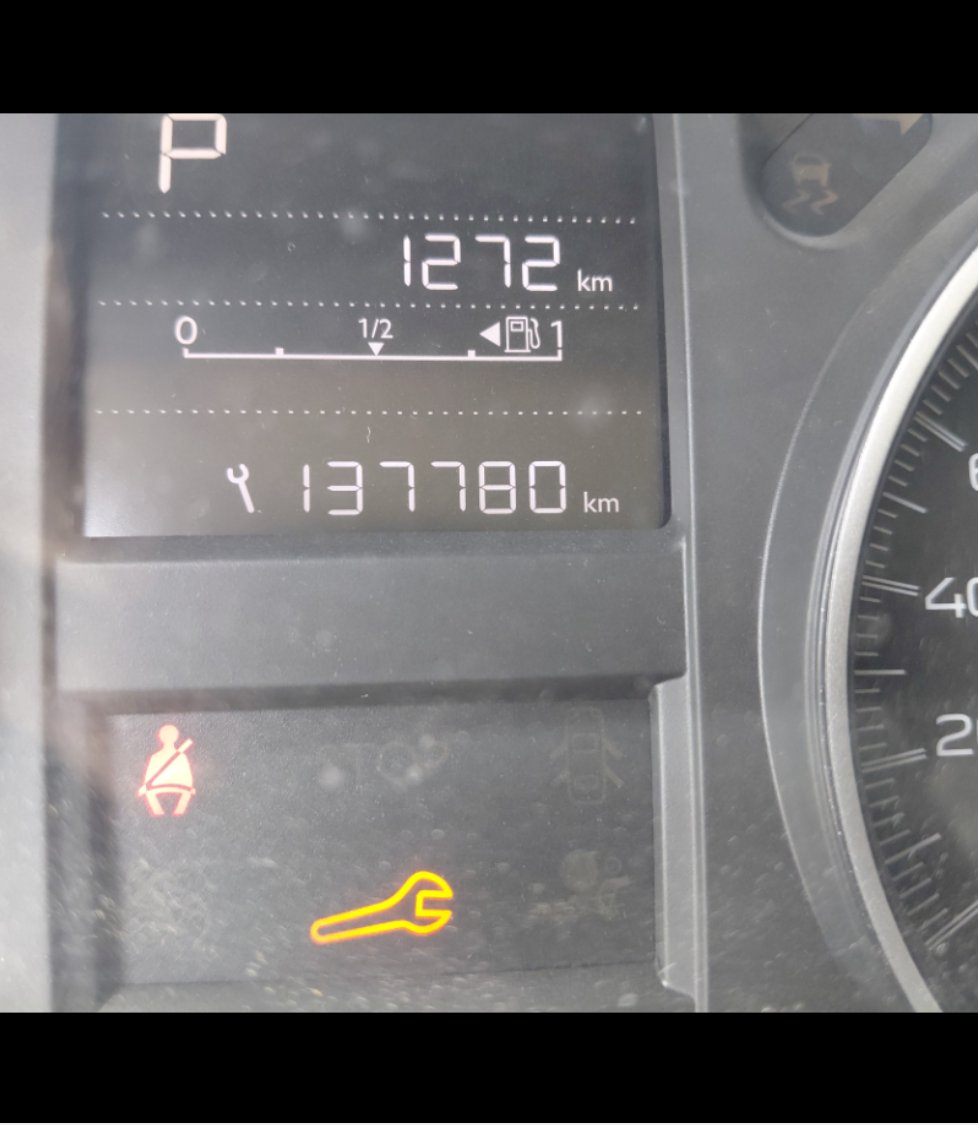 Peugeot  301  2020 image