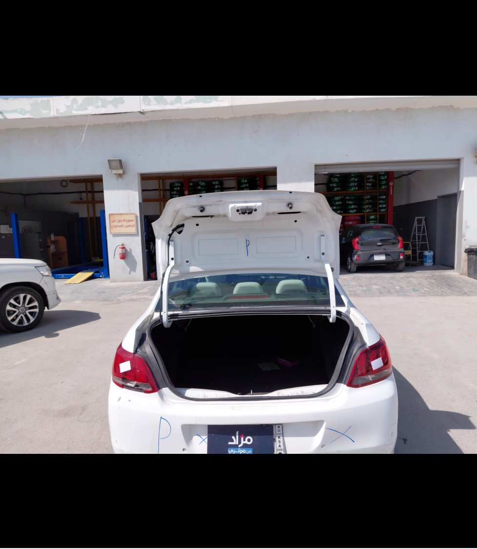 Peugeot  301  2020 image