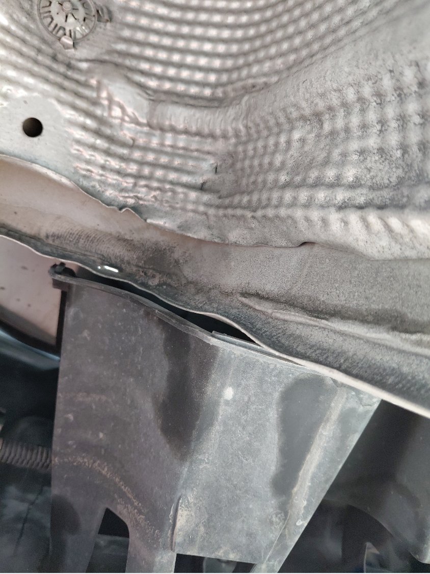 Peugeot  301  2020 image