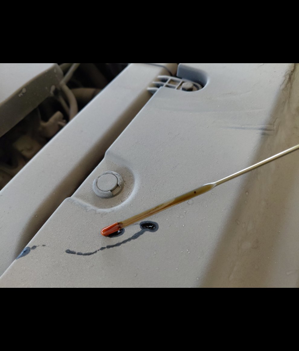 Haval Jolion  2023 image