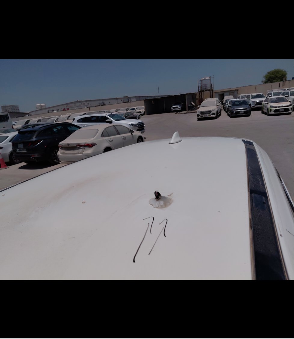 Nissan X-Trail  2021 image