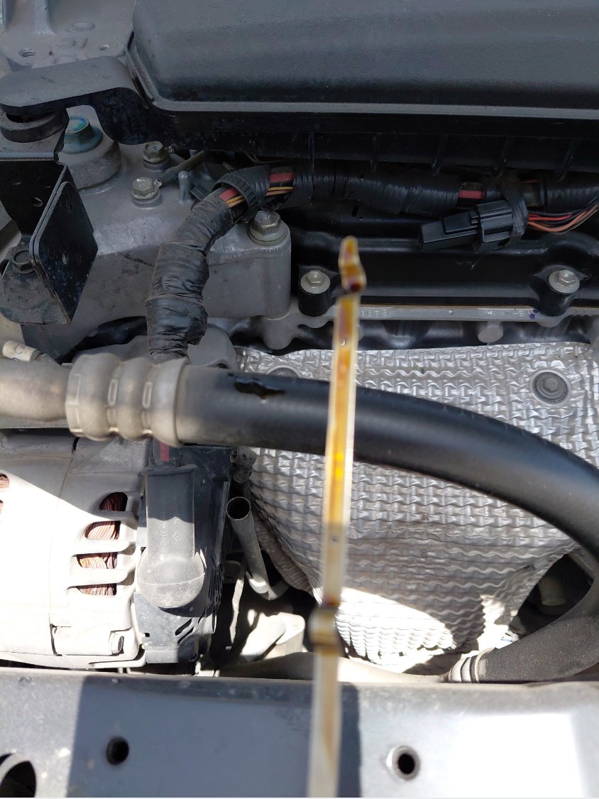 Nissan X-Trail  2021 image