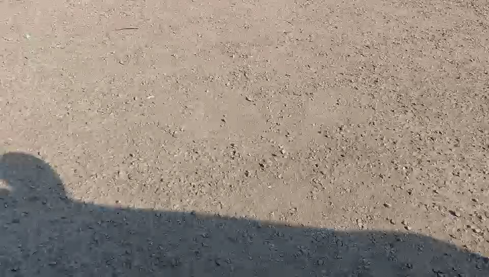 كيا بيجاس LX FWD 2022 video