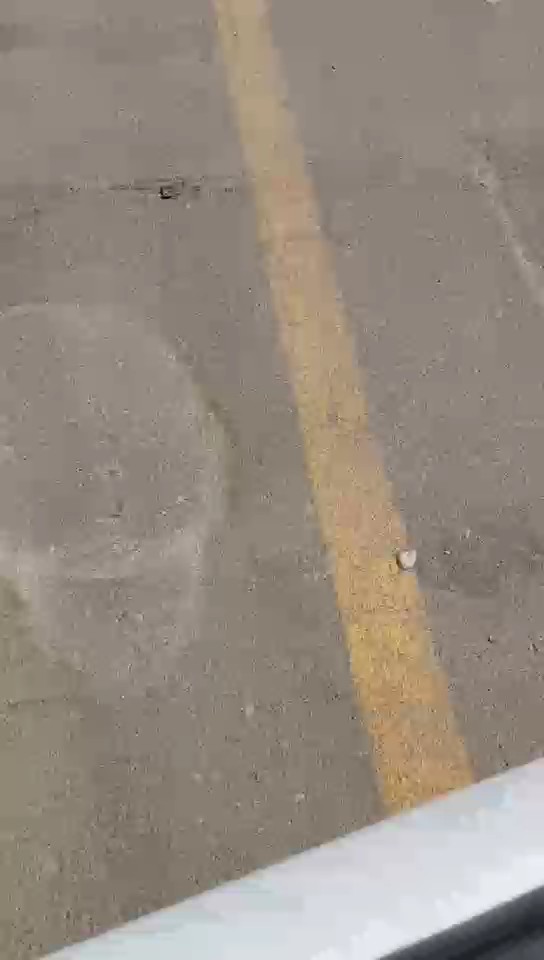 Peugeot  Expert Van  2022 video