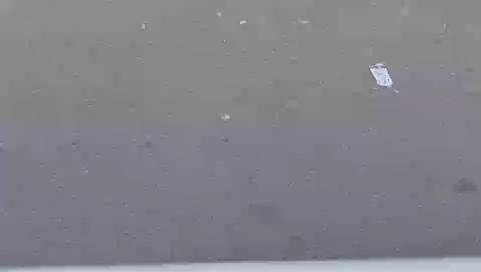 بيجو اكسبرت فان  2022 video