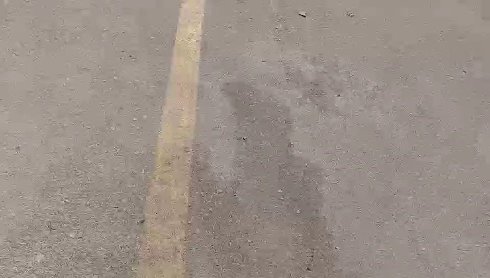 Foton CS2 VIEW  2022 video