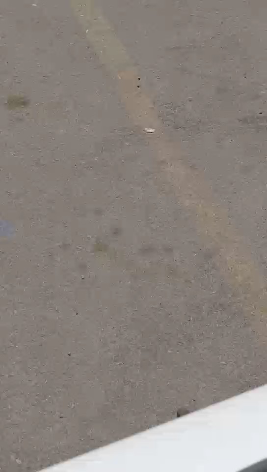 بيجو اكسبرت فان  2022 video