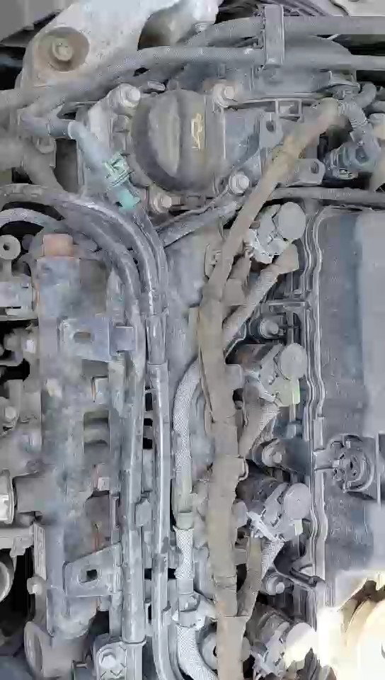 بيجو اكسبرت فان  2022 video