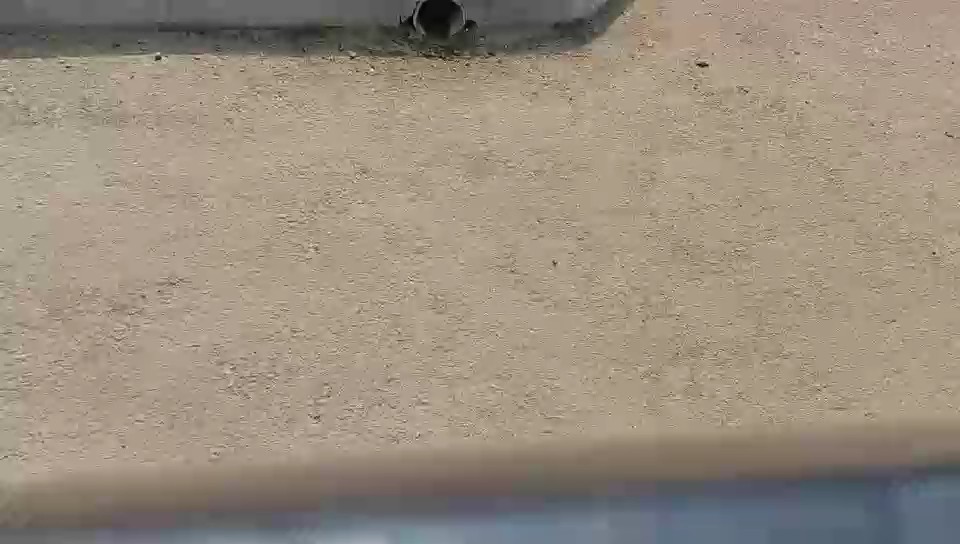 Ford Taurus STD 2022 video