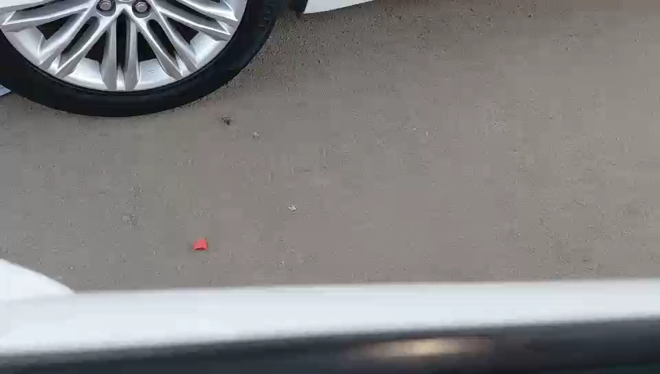 Hyundai Elantra STD 2024 video