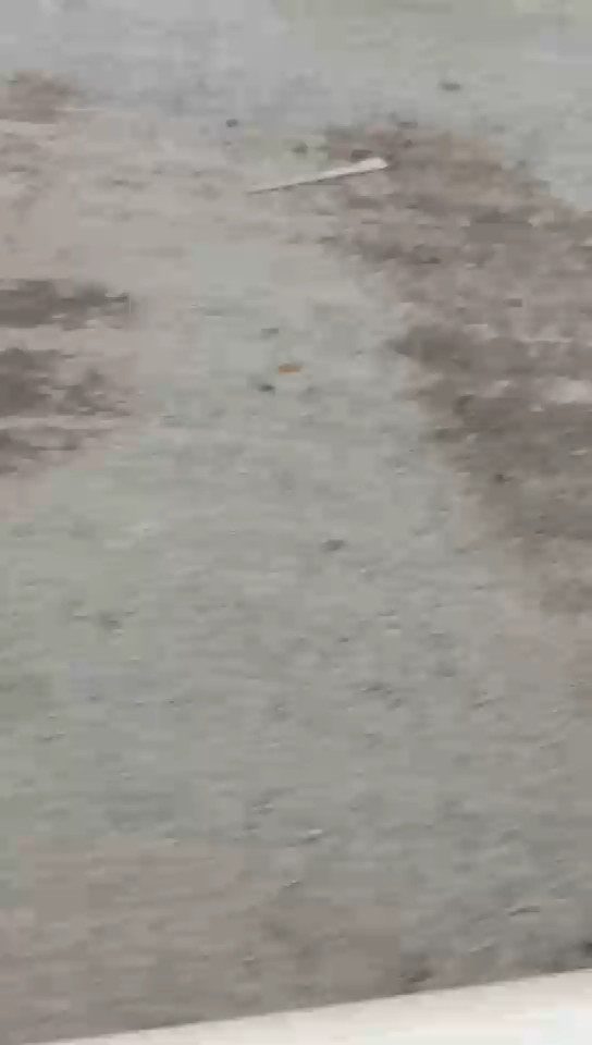 تويوتا يارس  2016 video