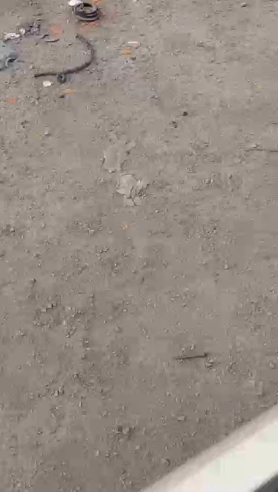 تويوتا هايس باص  2017 video