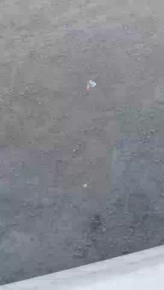 Toyota Hiace Van  2020 video