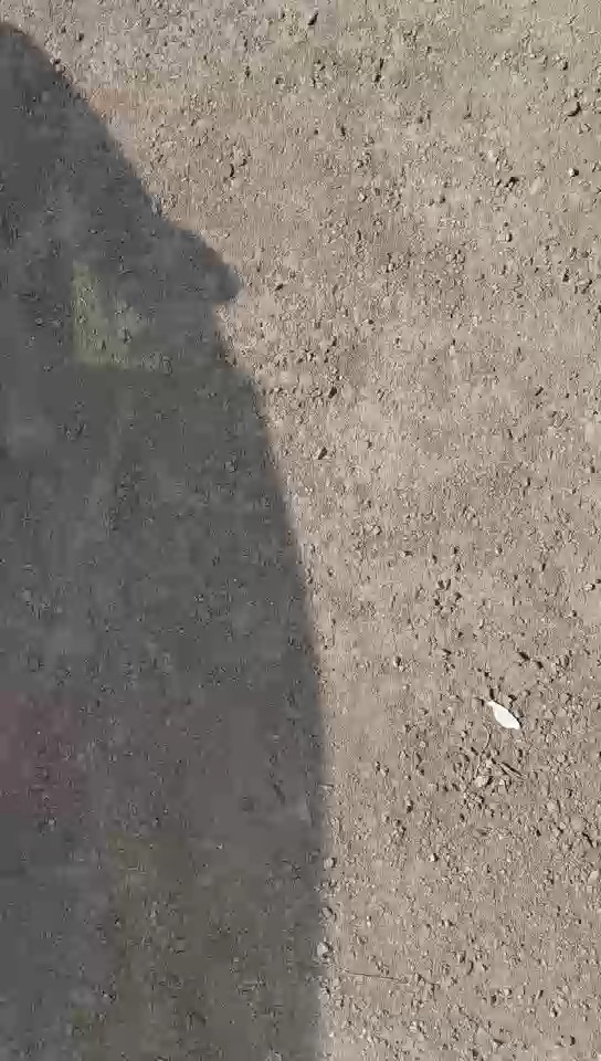 Mitsubishi Rosa  2015 video