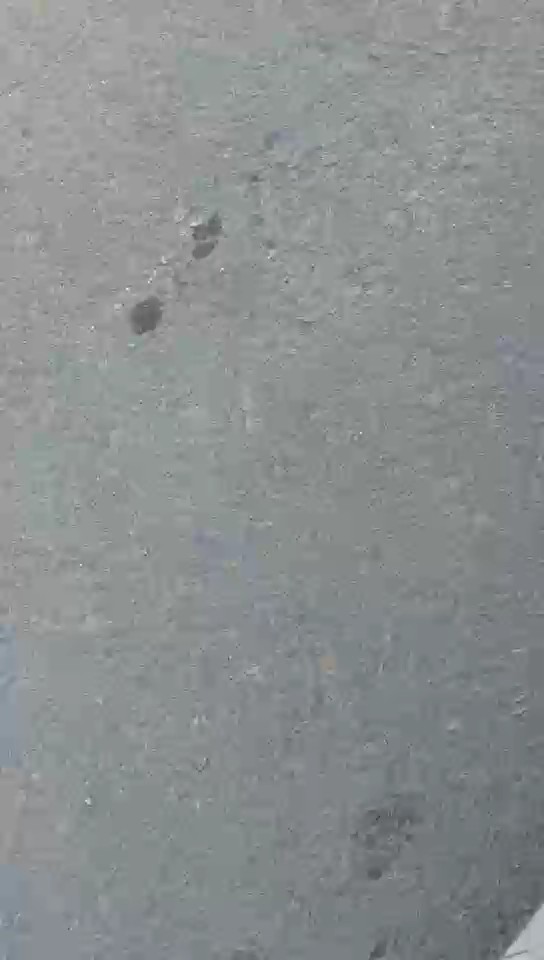 Toyota Camry GLE HEV  2019 video