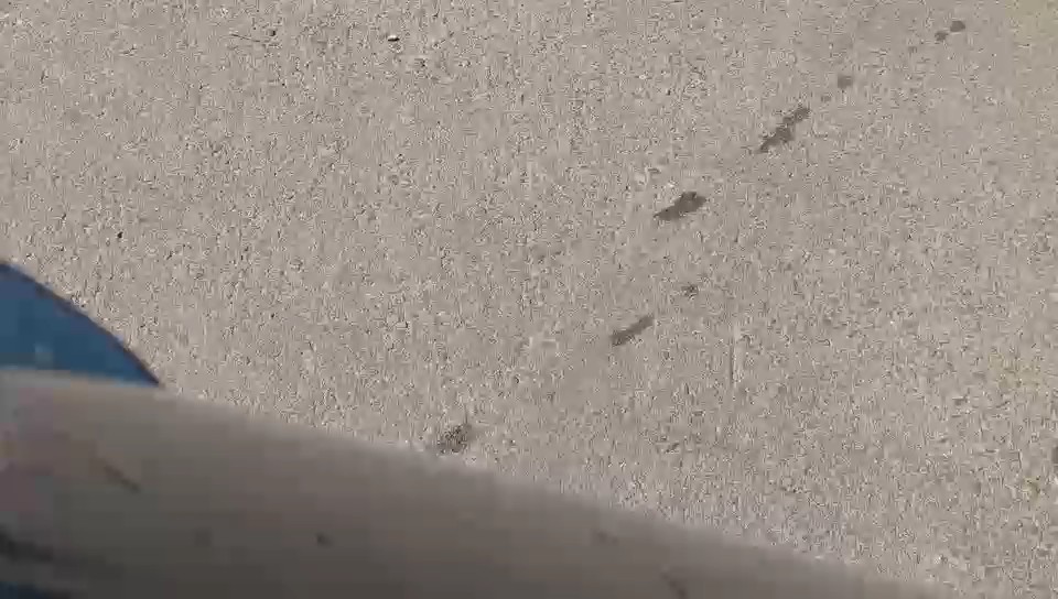 Hyundai Elantra FLEET 2023 video