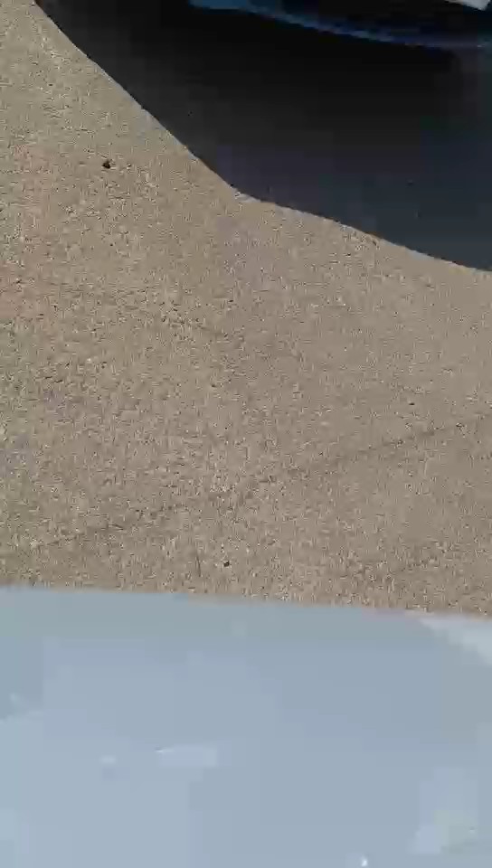 Toyota Corolla  XLI EXE 2024 video