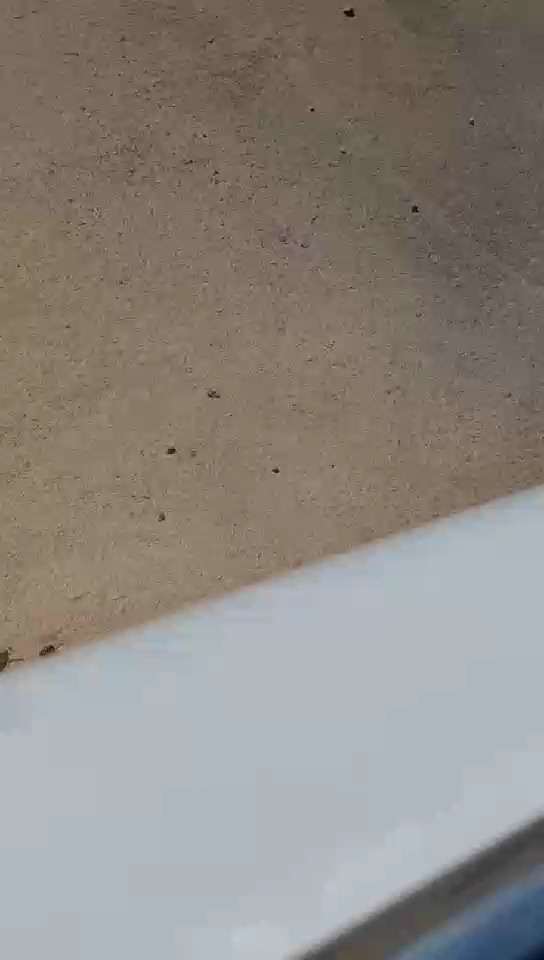 Toyota Camry LE HEV 2024 video