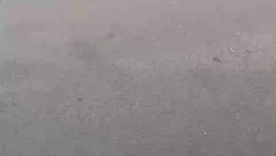 KIA Pegas GL 2024 video