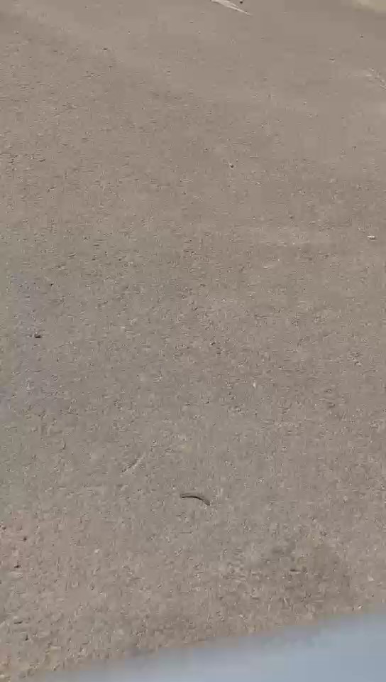 تويوتا كامري GLE 2022 video