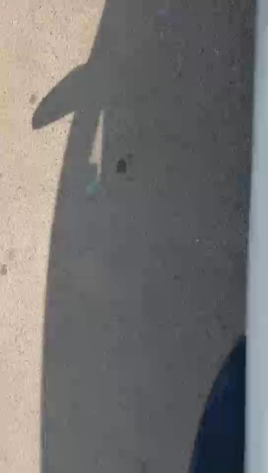 هيونداي i10 جراند FLEET  2022 video